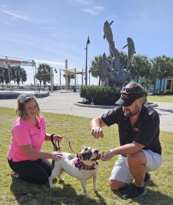 Pet waste removal myrtle beach